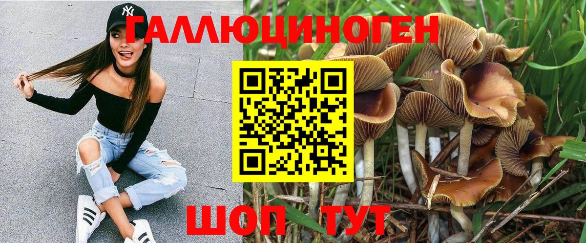 Шатура  Галлюциногенные грибы Cubensis  Вход с VPN 